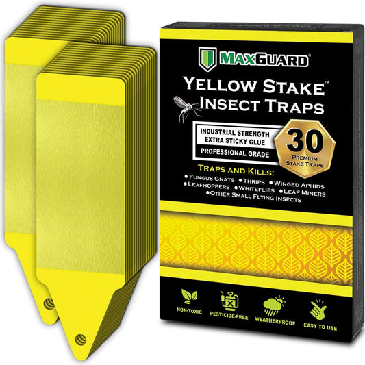MAXGUARD (30 Pack) Yellow Stake Sticky Insect/Bug Traps - Catch and Kill Fungus Gnats, Whiteflies, Mosquitos, Aphids, Leaf Miners, Flying Insect Catcher Glue Trappers for Indoor or Outdoor